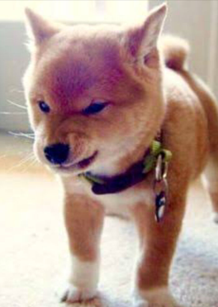 He’s Already Planning Revenge