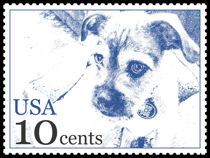 Philatelist Treasure