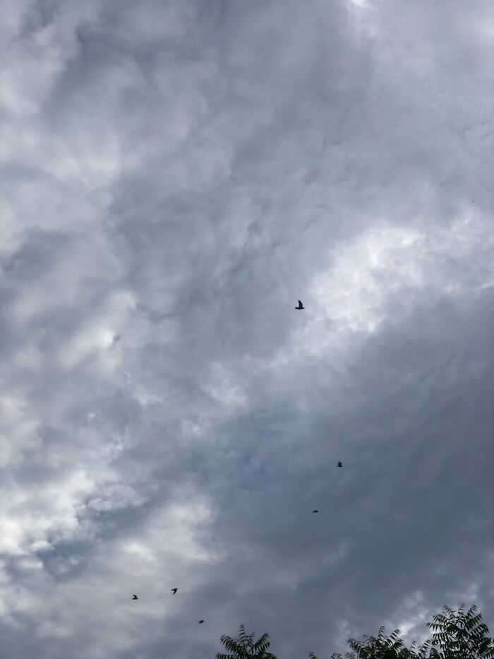 The Clouds Look Like It’s In A Storm