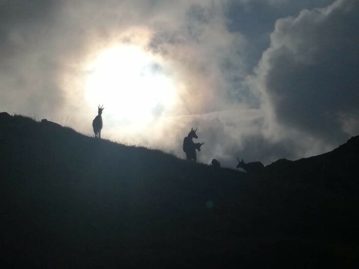 Slovakia, Nizke Tatry