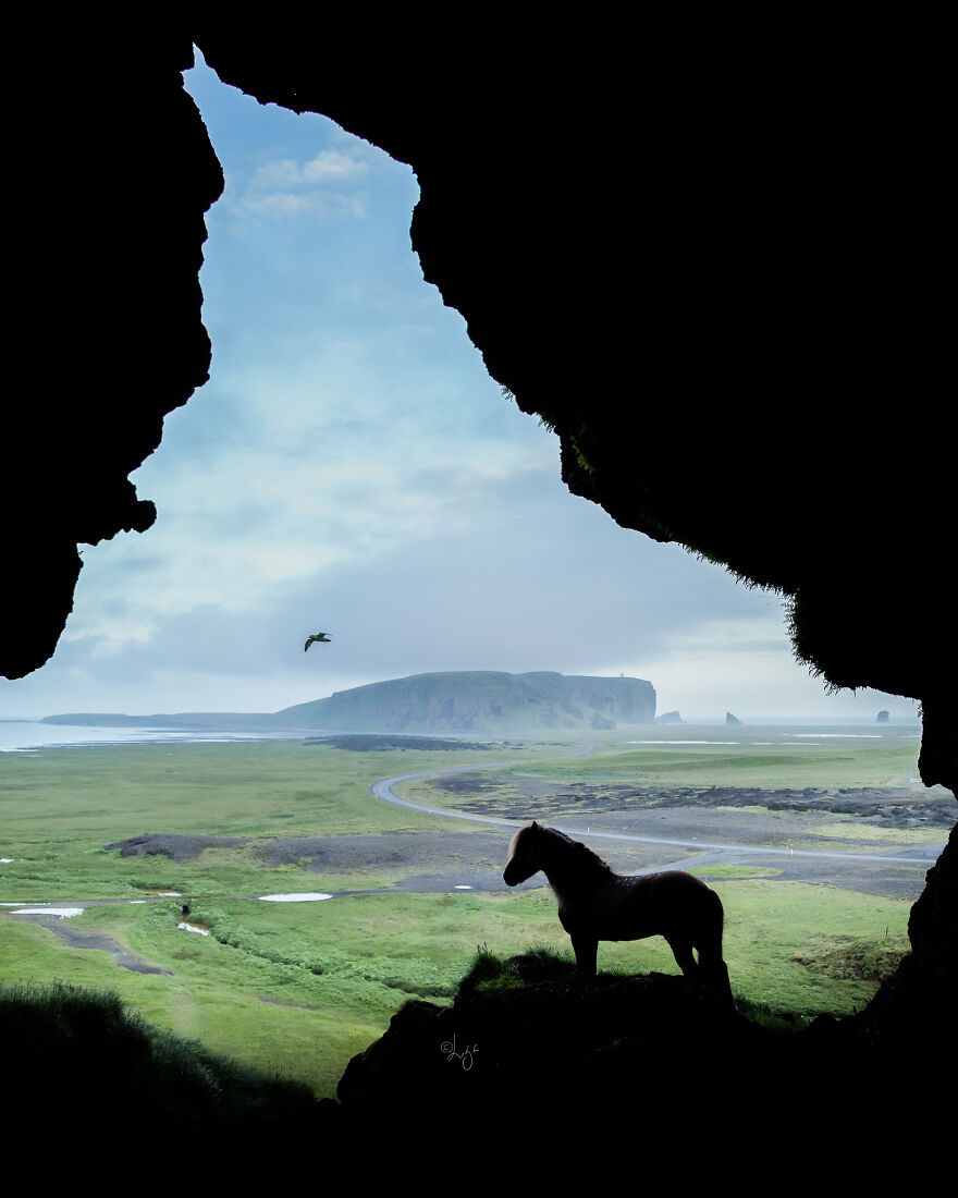I Photograph Horses In Phenomenal Icelandic Landscapes (37 Pics)