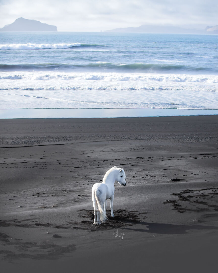 I Photograph Horses In Phenomenal Icelandic Landscapes (37 Pics)
