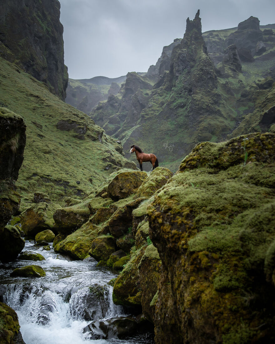 I Photograph Horses In Phenomenal Icelandic Landscapes (37 Pics)