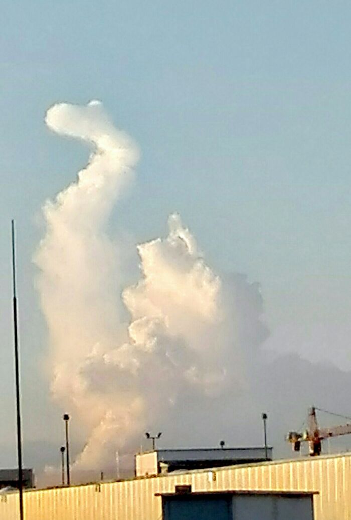 Brainless Drama Queen