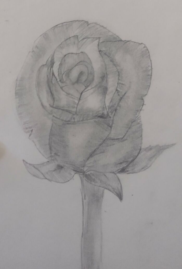 Drew This One And I Really Like It :)