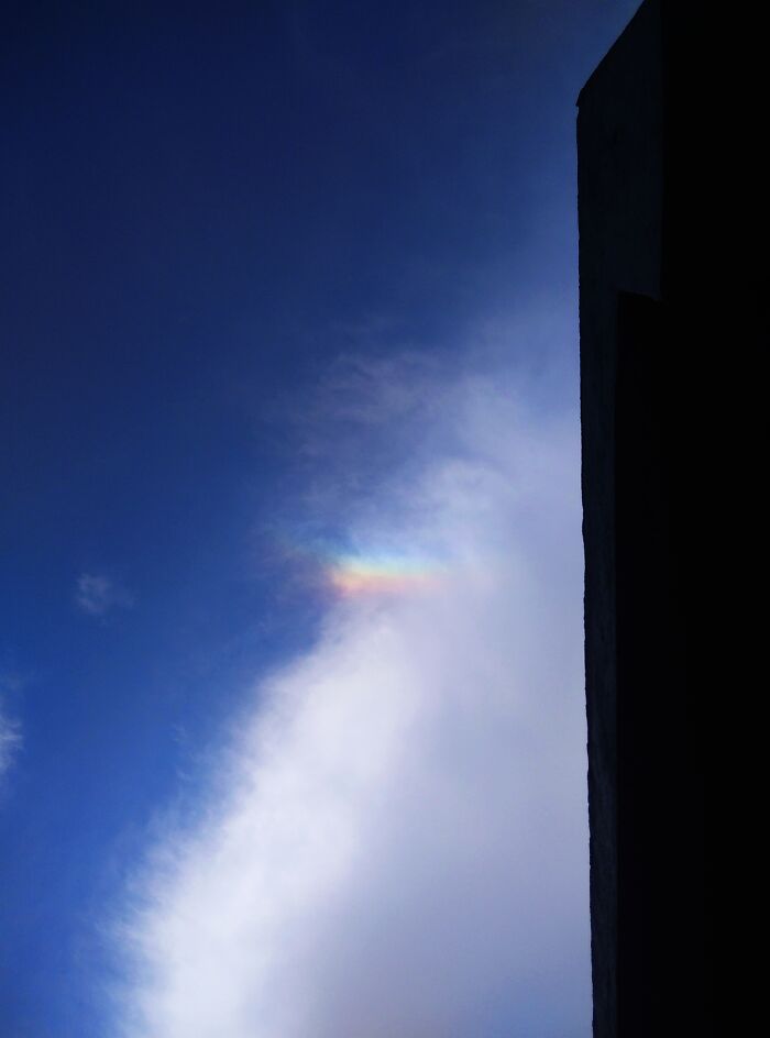 And The Dream That You Dare To Why, Oh Why Can't I?