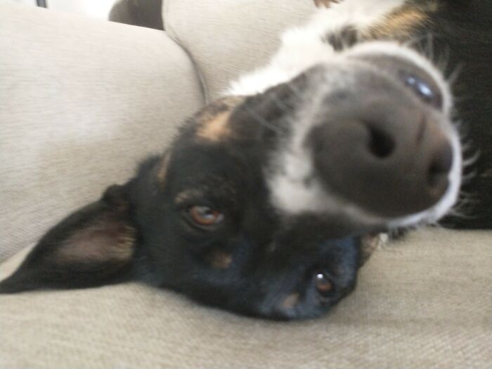 This Is My Dog, Winnie