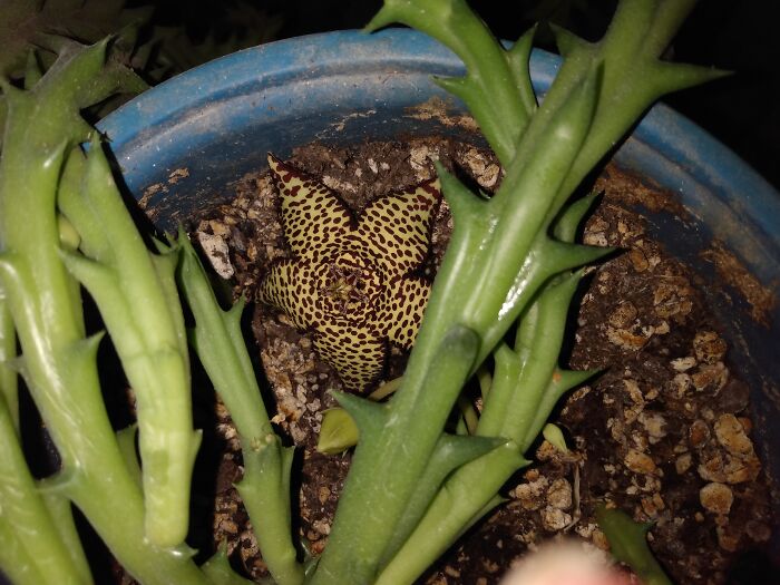 Don't Know The Name Of This One.