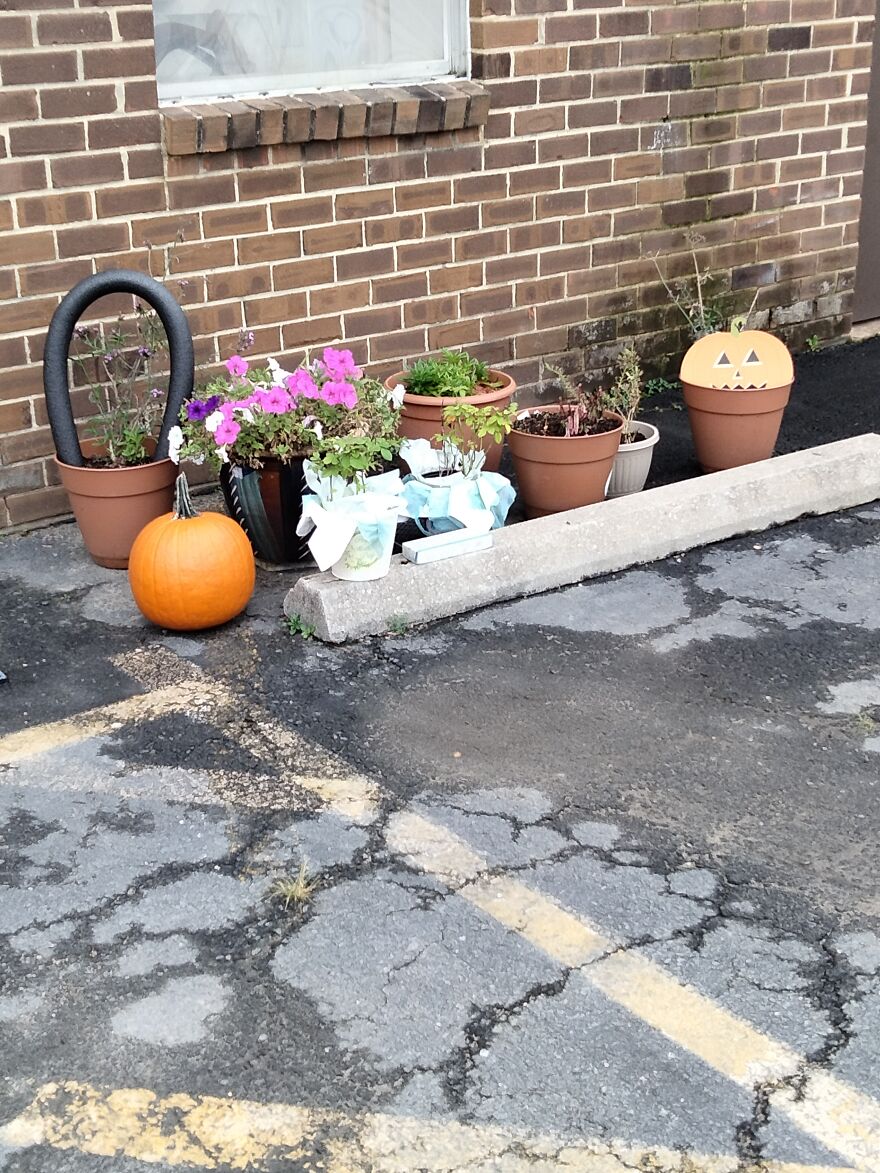 Nehla Zikria's Creations