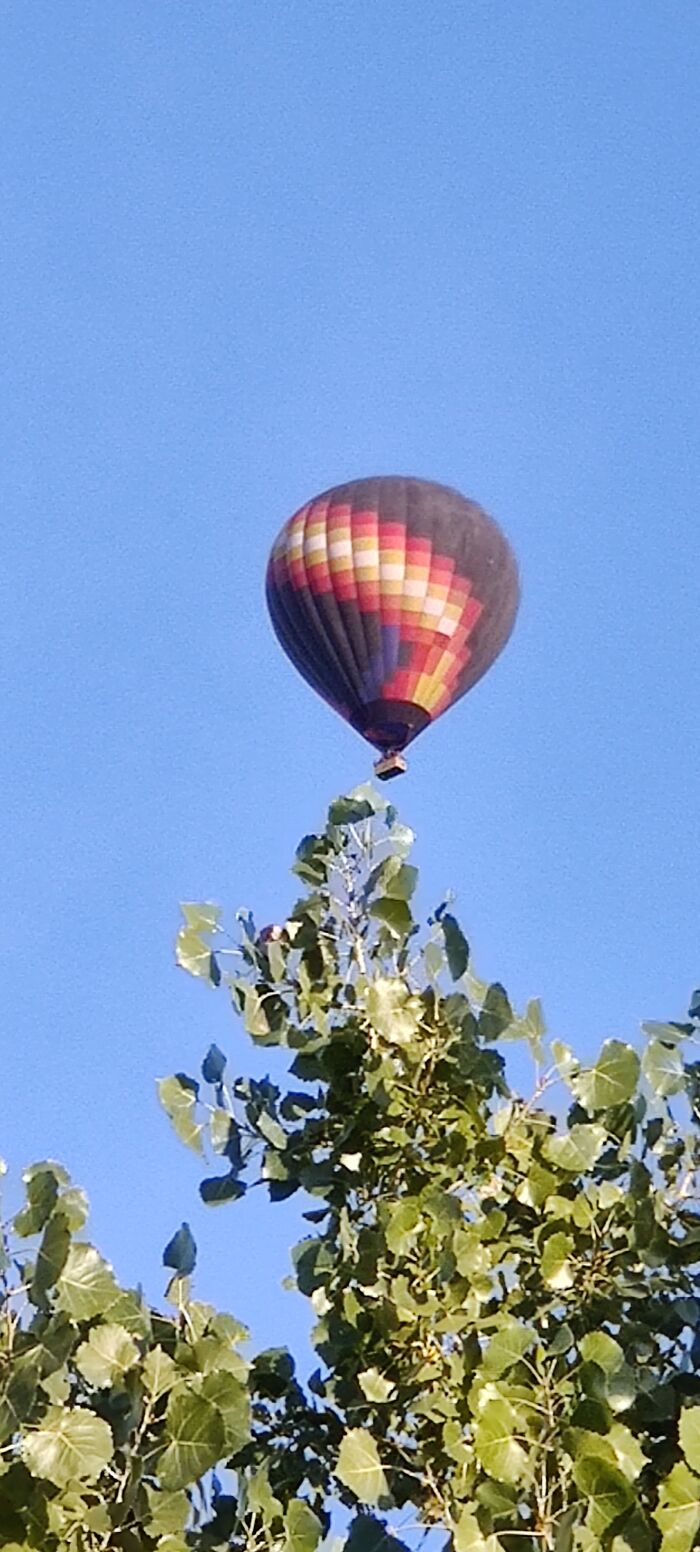 Hot air balloon flying over green trees under clear blue sky, capturing September weather conditions.