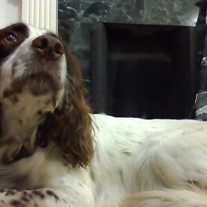 ellajmoffat-1 avatar