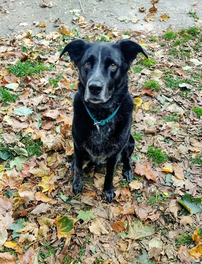 My Beautiful Blue, My 💙