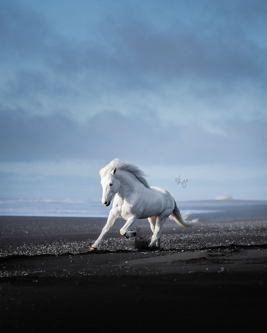 I Photograph Horses In Phenomenal Icelandic Landscapes (37 Pics)