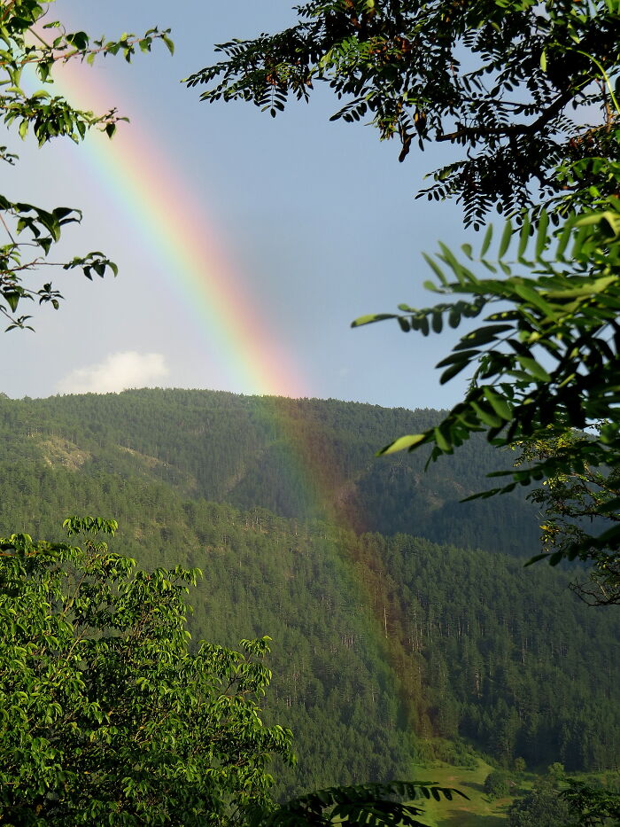 I Think I Saw The End Of The Rainbow 😍