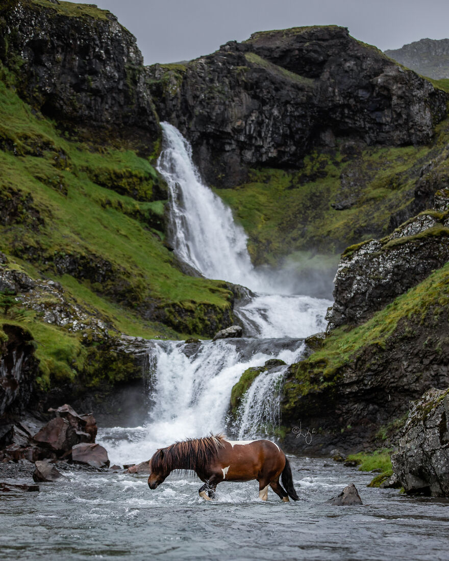 I Photograph Horses In Phenomenal Icelandic Landscapes (37 Pics)