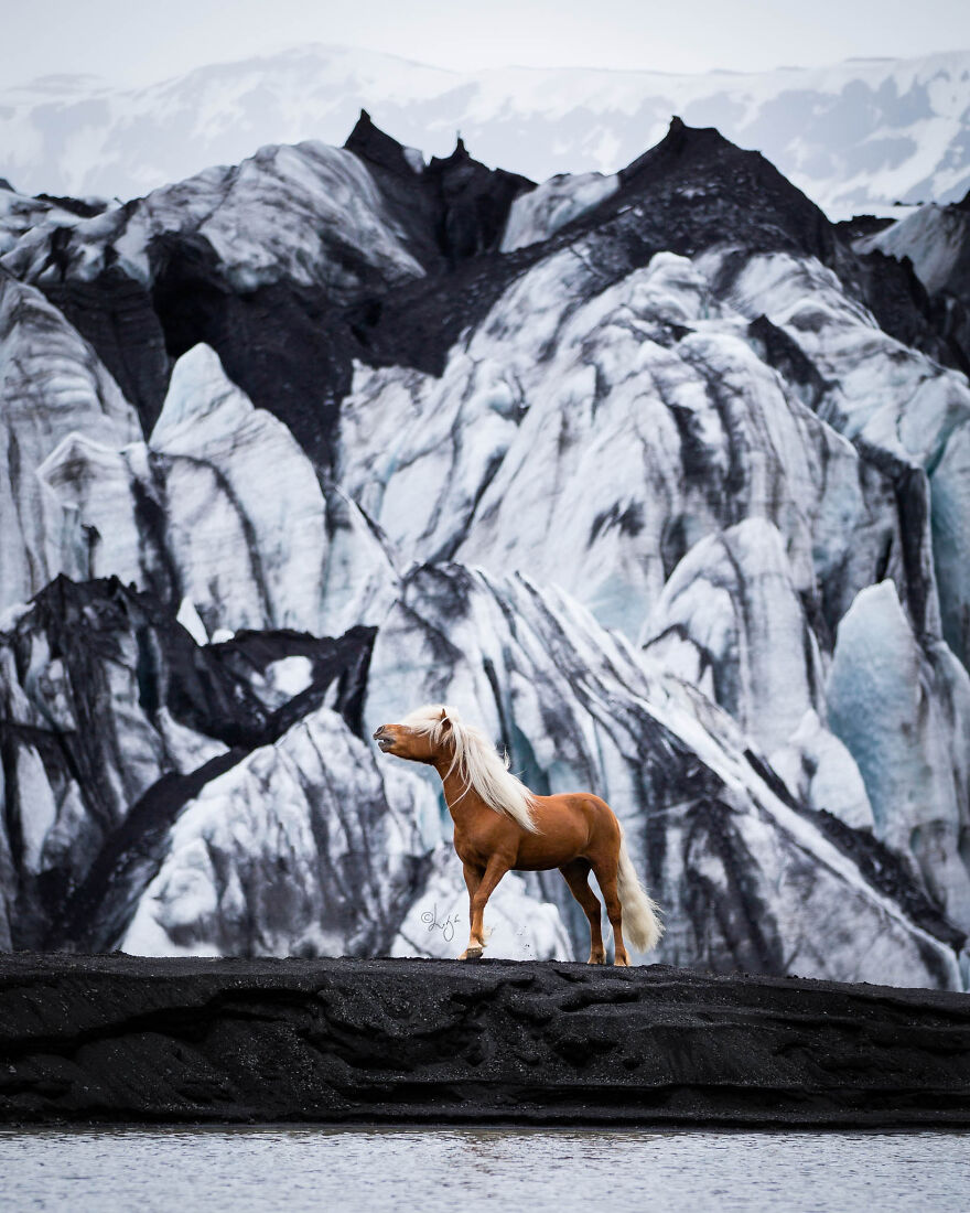 I Photograph Horses In Phenomenal Icelandic Landscapes (37 Pics)