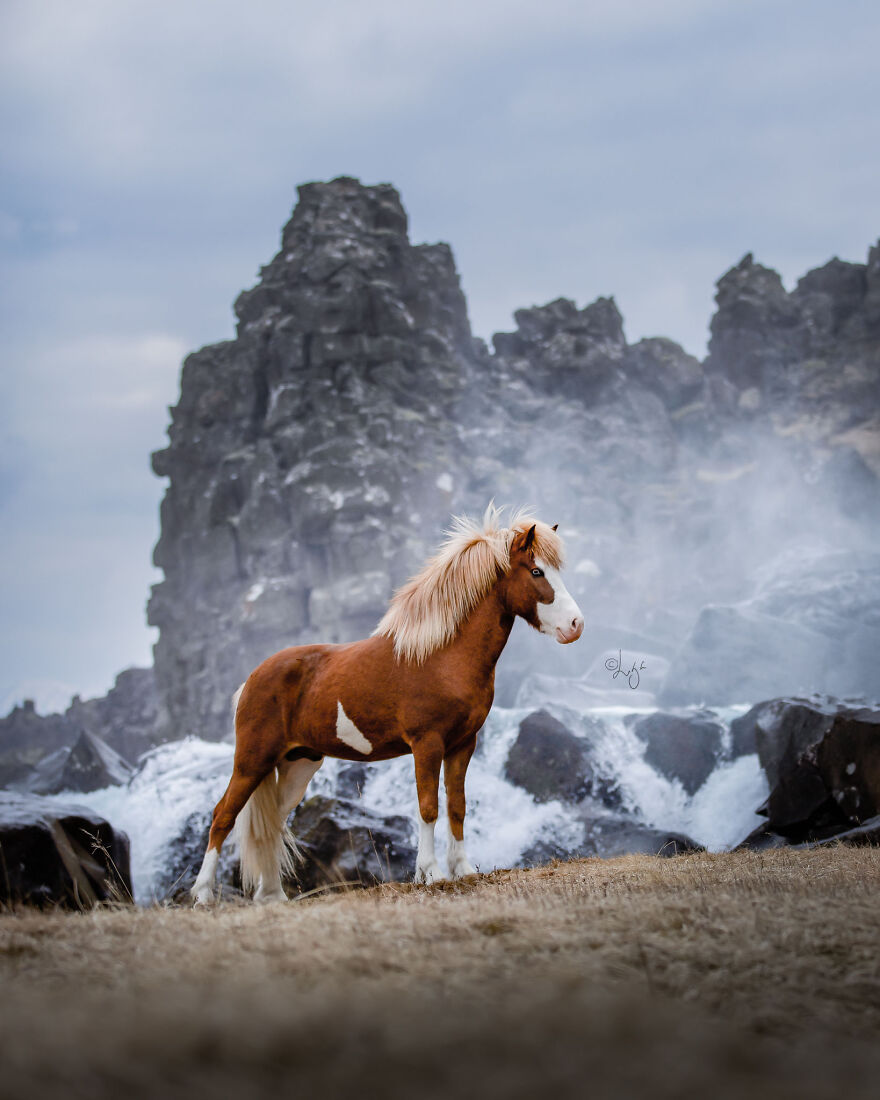 I Photograph Horses In Phenomenal Icelandic Landscapes (37 Pics)