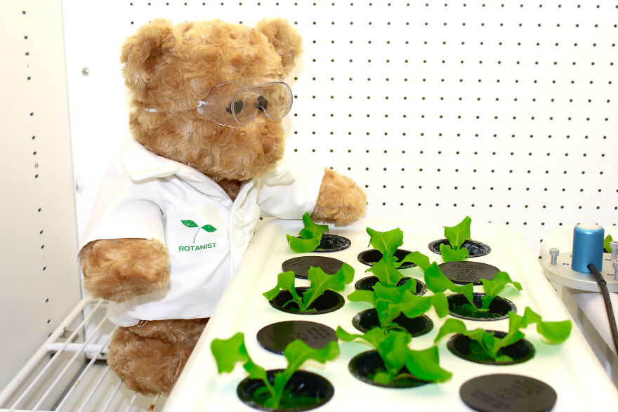 We Made These Adorable Scientist Teddy Bears For A Child Advocacy Center