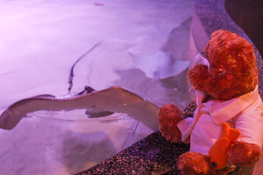 We Made These Adorable Scientist Teddy Bears For A Child Advocacy Center