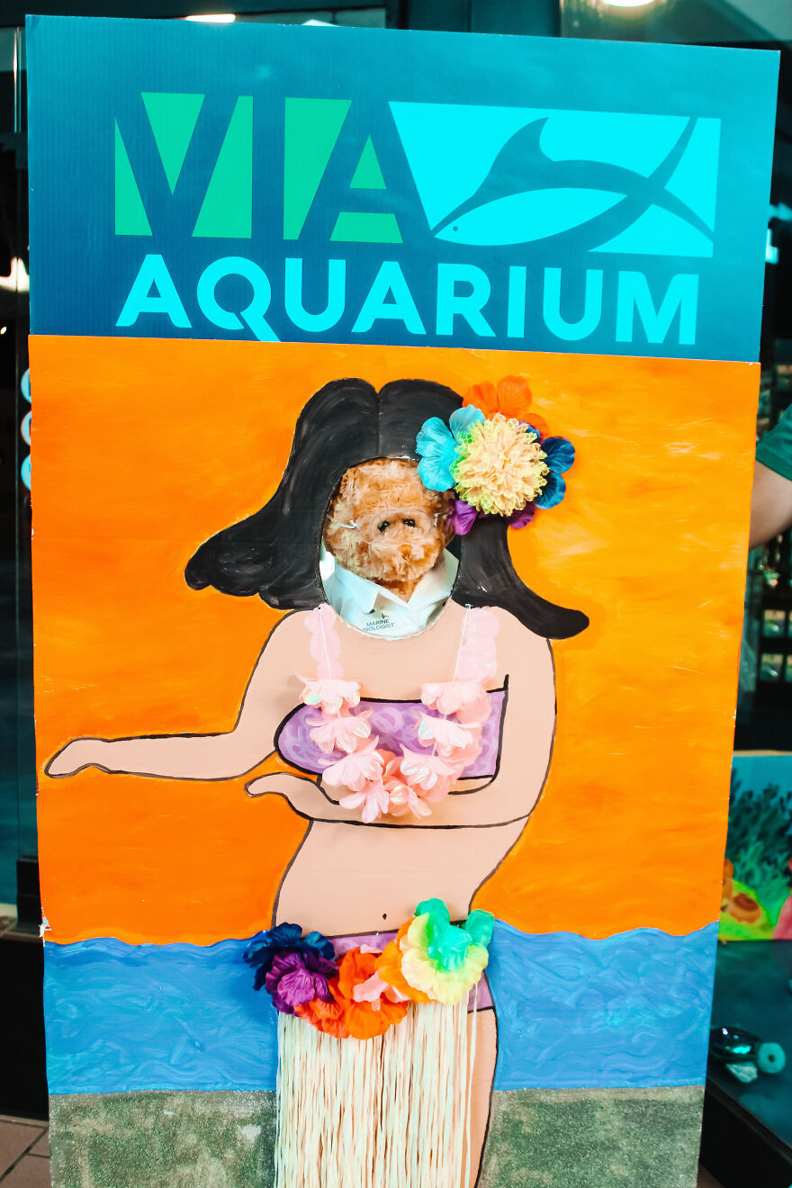 We Made These Adorable Scientist Teddy Bears For A Child Advocacy Center