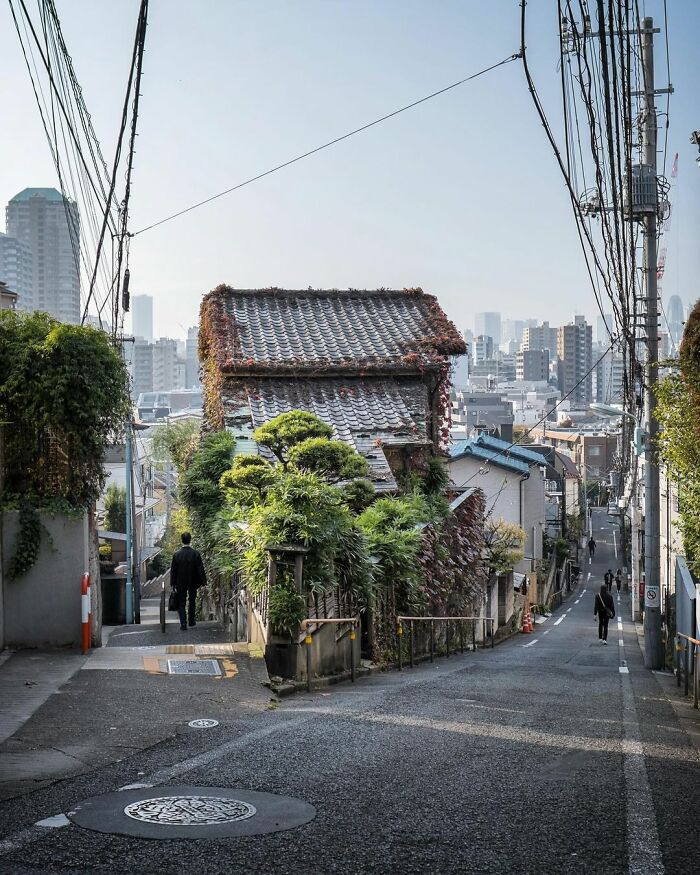 Old architecture in Japan with traditional tiled roof and greenery, blending with the modern cityscape in the background.
