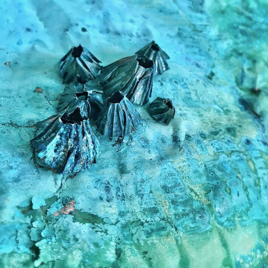 This Artist Makes Copper Come To Life This Artist Makes Copper Come To Life