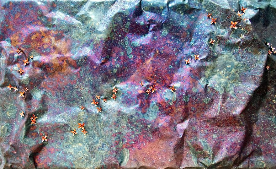 This Artist Makes Copper Come To Life This Artist Makes Copper Come To Life