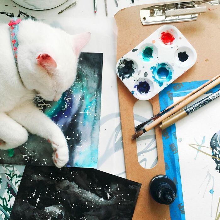 Meet Tuna, A Cat Who Befriends Delivery Men And Her Owner Posts About It On Instagram