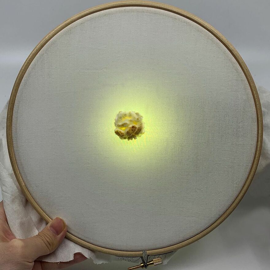 Meet Youmeng Liu's Amazing "Edible Embroidery"