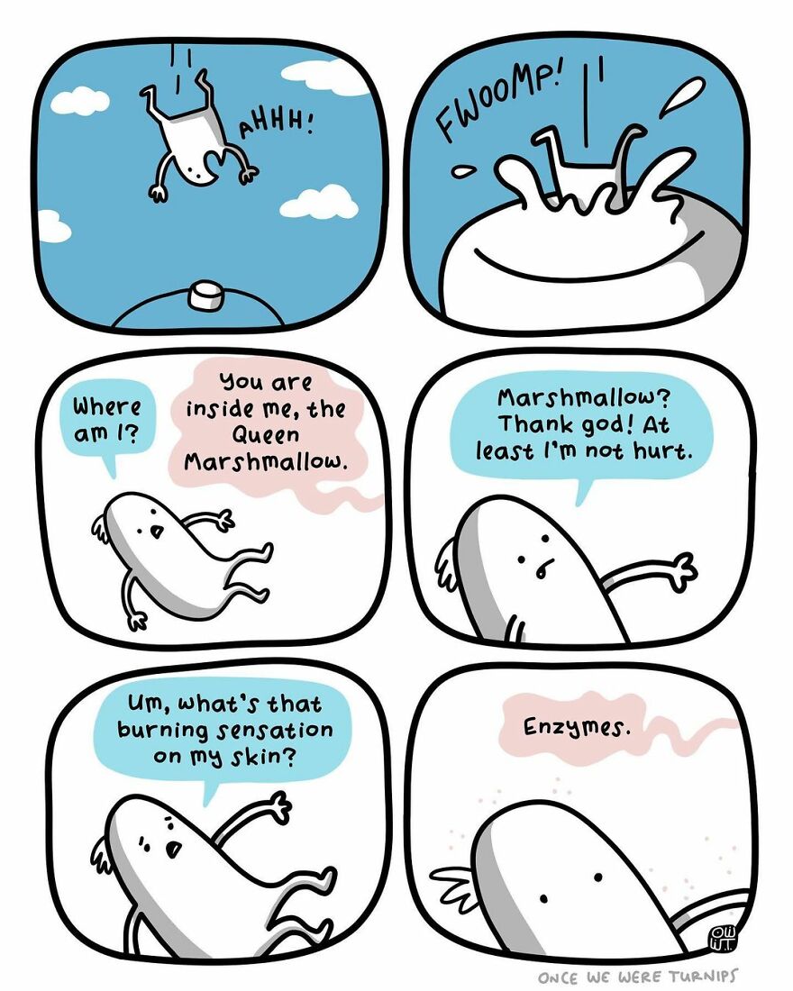 Meet The Silly And Funny Comics Of An Australian Cartoonist