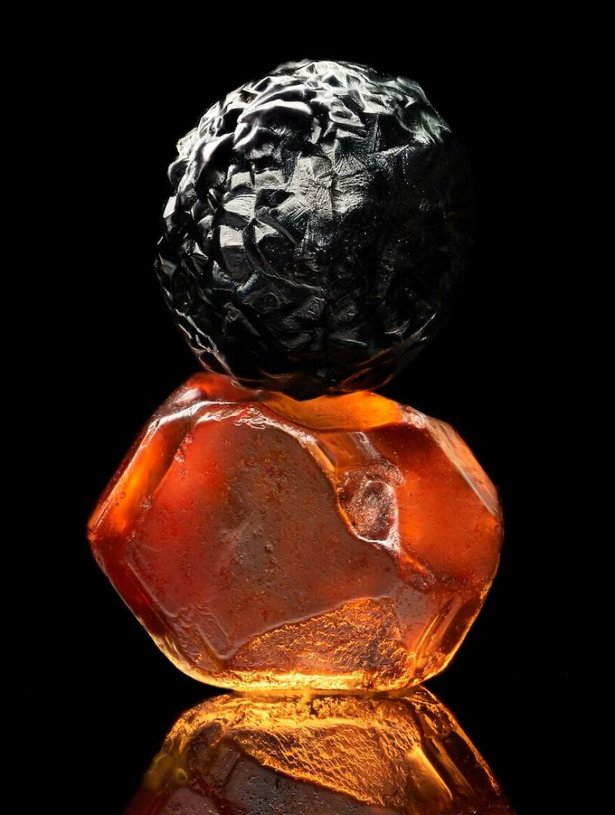 2nd Place Winner | Micro