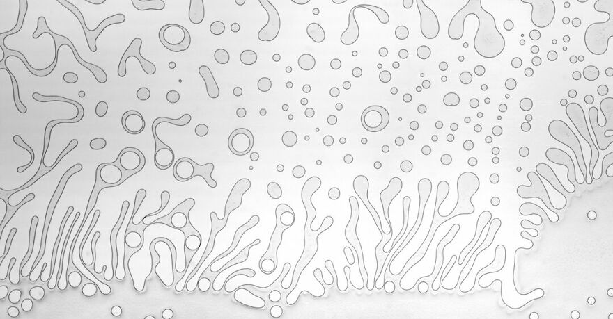 3rd Place Winner | Micro