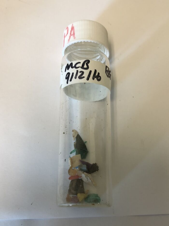 Small plastic vial containing tiny colorful fragments on a white surface, illustrating disturbing facts collection.