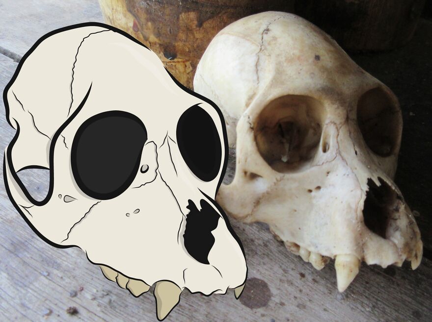 We Spent 2 Months In The Amazon And Made A Board Game About It!