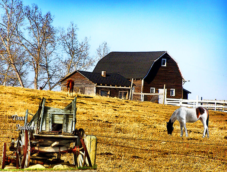 More Recent Road Trips In And Around Calgary Alberta