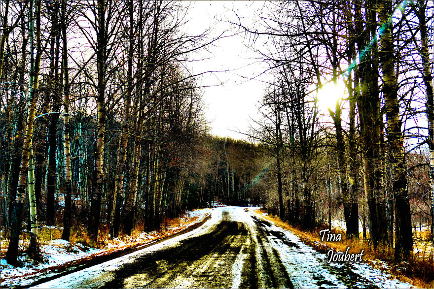 More Recent Road Trips In And Around Calgary Alberta