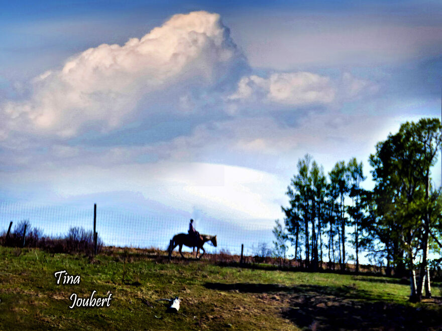 More Recent Road Trips In And Around Calgary Alberta