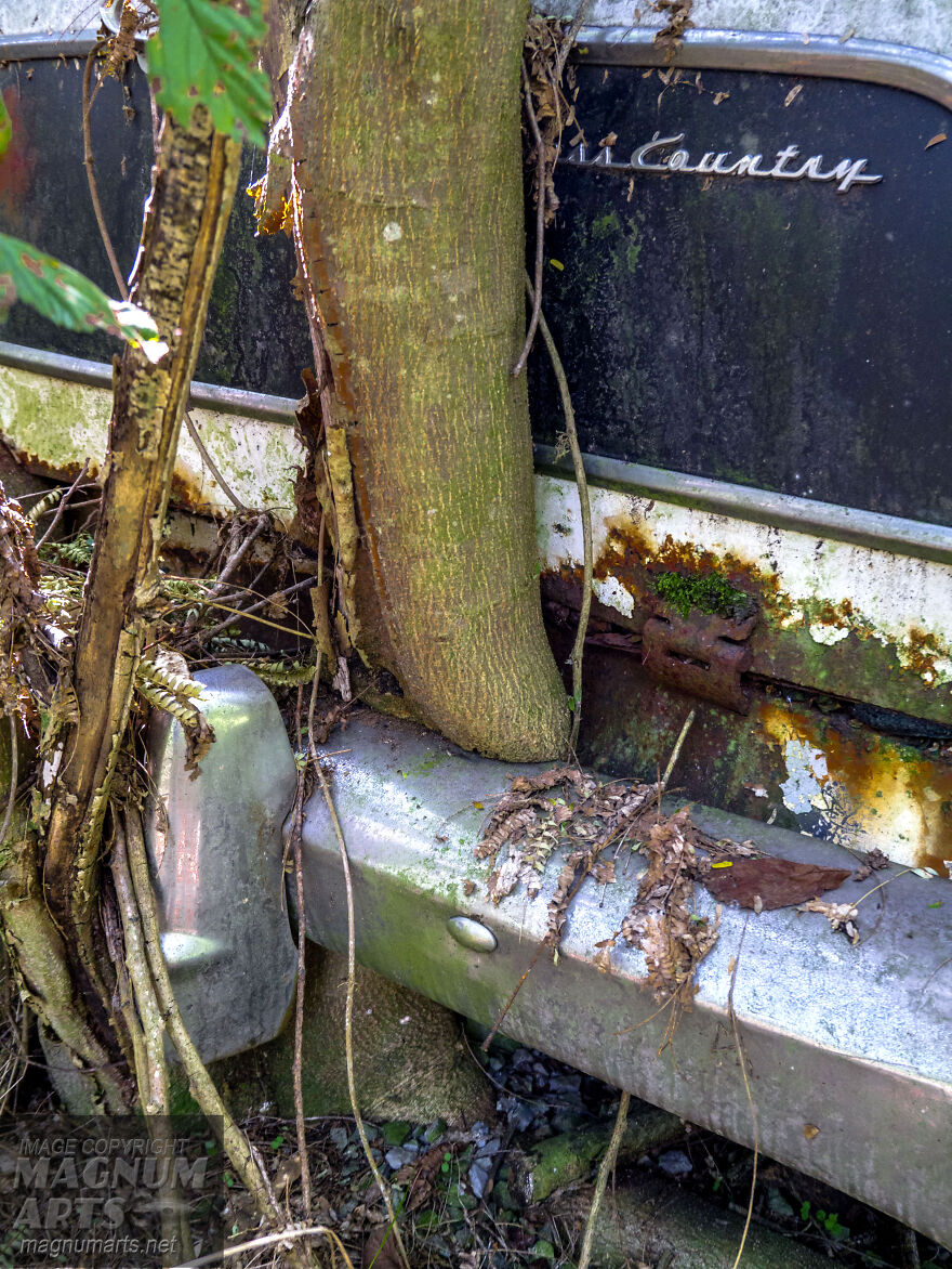 I Took Pictures In Old Car City, A Classic Car Graveyard (23 Pics)