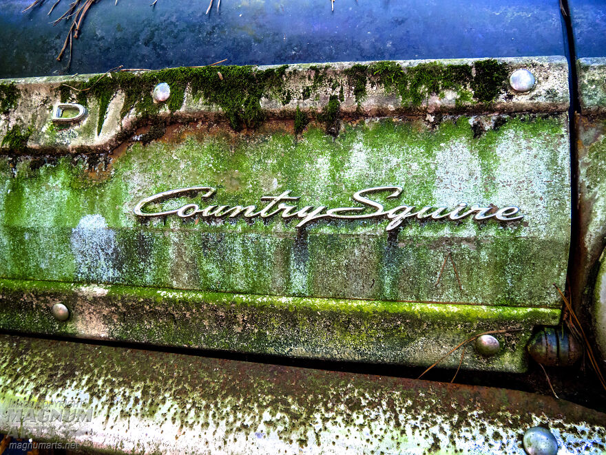 I Took Pictures In Old Car City, A Classic Car Graveyard (23 Pics)