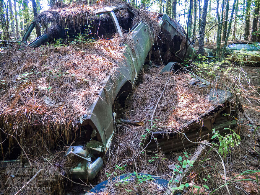 I Took Pictures In Old Car City, A Classic Car Graveyard (23 Pics)