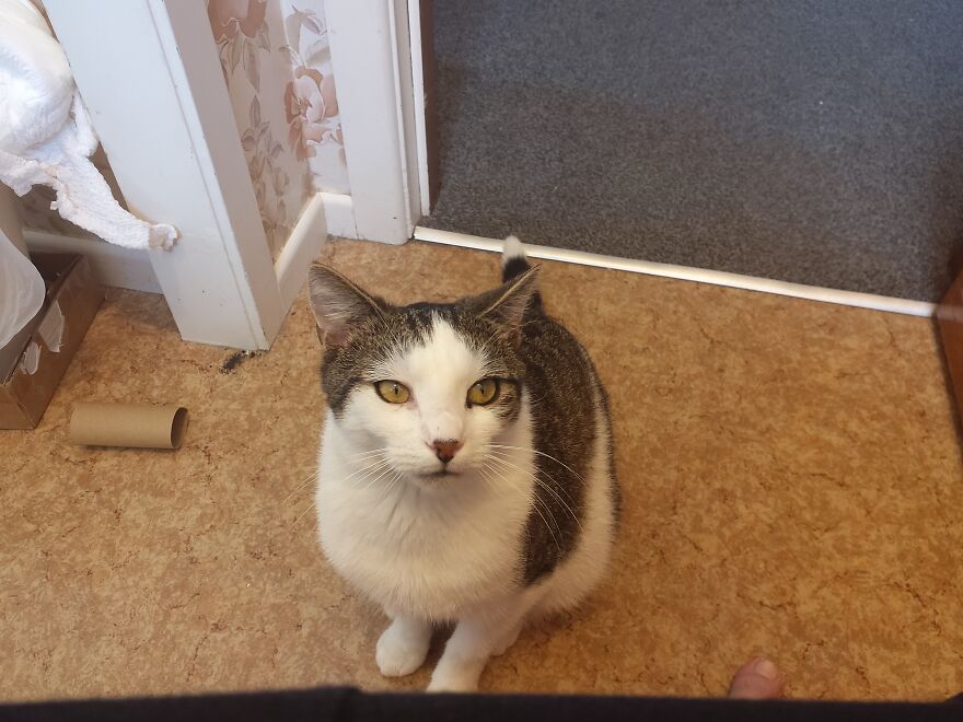 Please Post A Picture Of Your Stuffed Animal