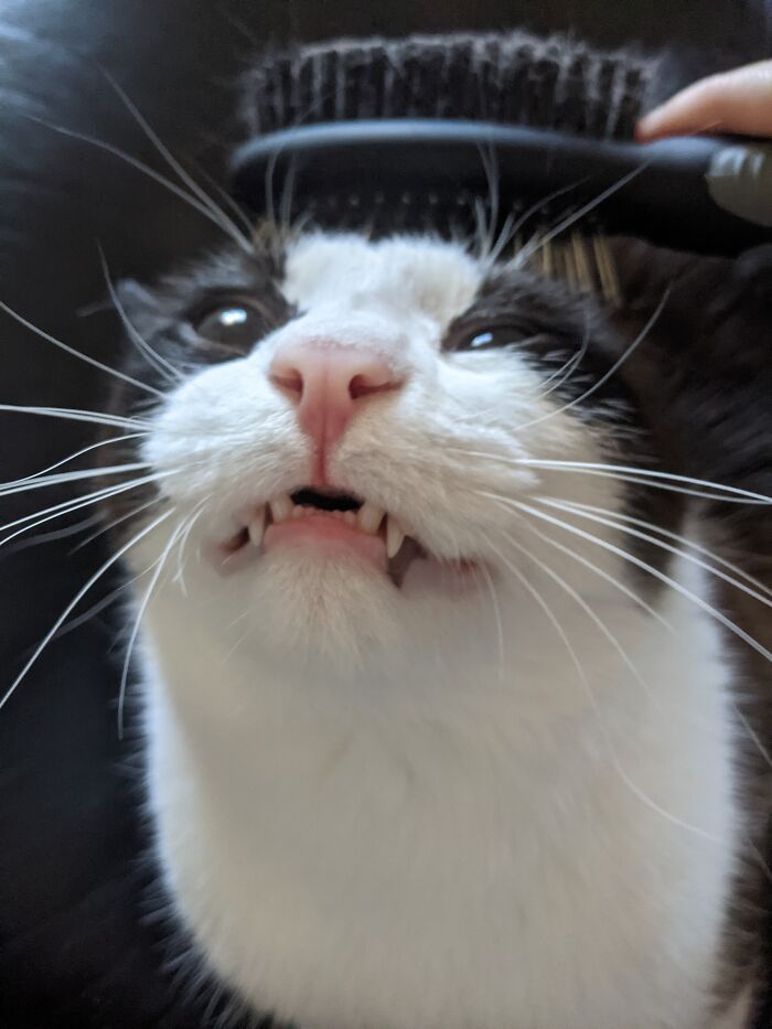 When The Brush Hit That One Spot