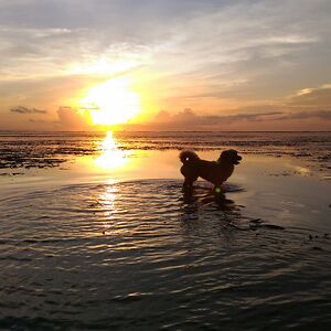 vanburensupernova44 avatar