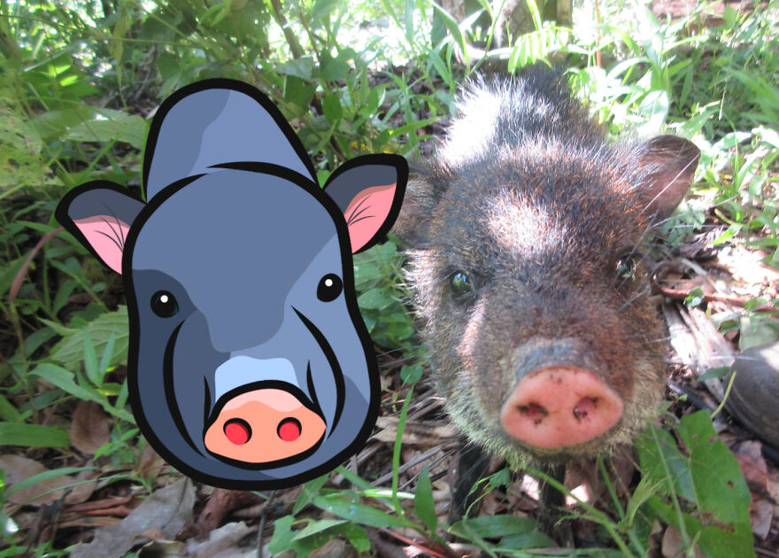 We Spent 2 Months In The Amazon And Made A Board Game About It!