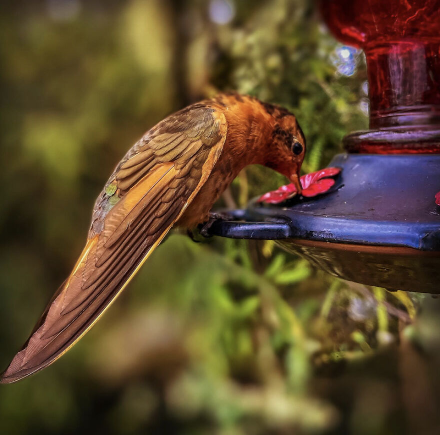 I Spent A Week Riding A Motorcycle Through Colombia