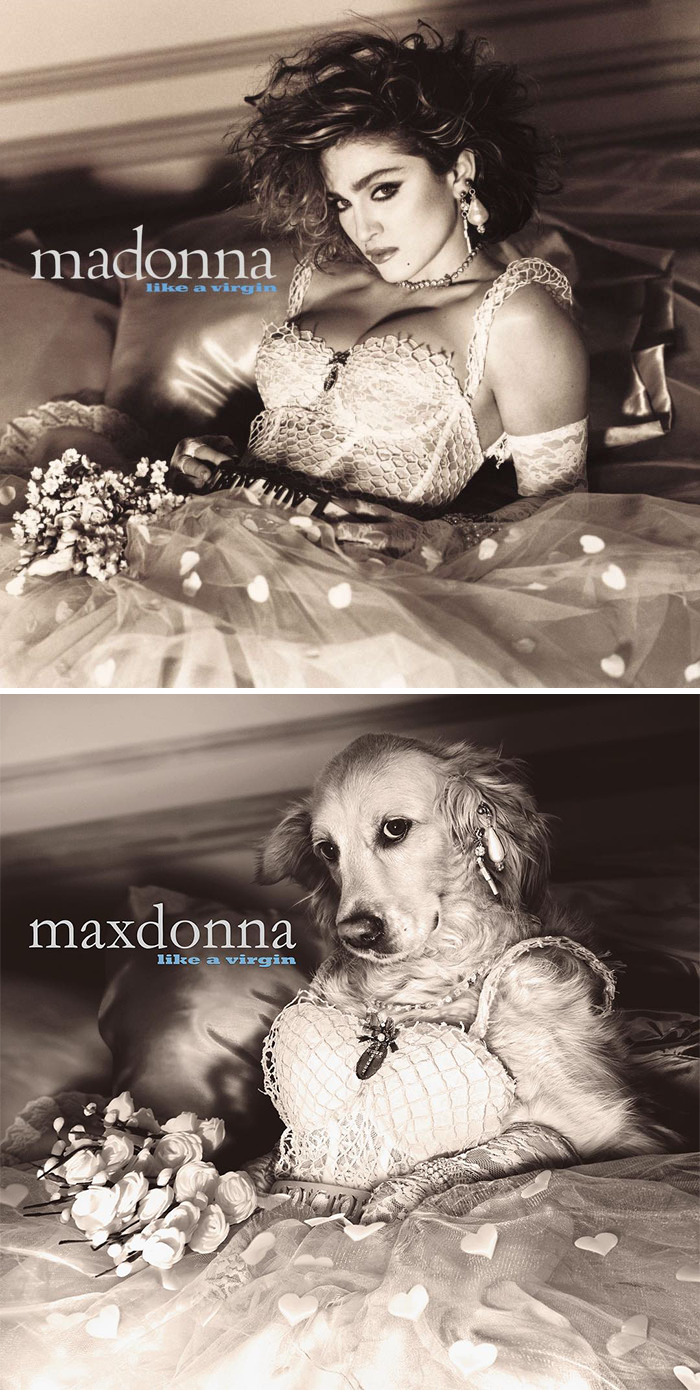 'Like A Virgin' Album Cover