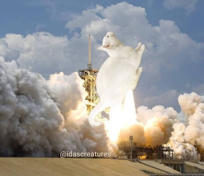 Scary And Funny New Artwork From The Girl Who Turns Pets Into True Fantasy Creatures