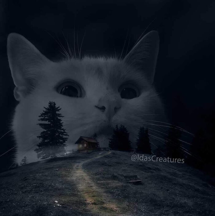 Scary And Funny New Artwork From The Girl Who Turns Pets Into True Fantasy Creatures