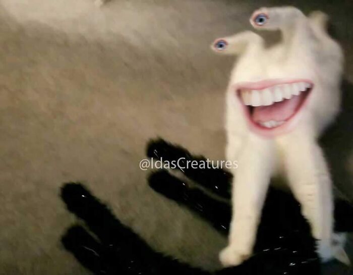 Scary And Funny New Artwork From The Girl Who Turns Pets Into True Fantasy Creatures