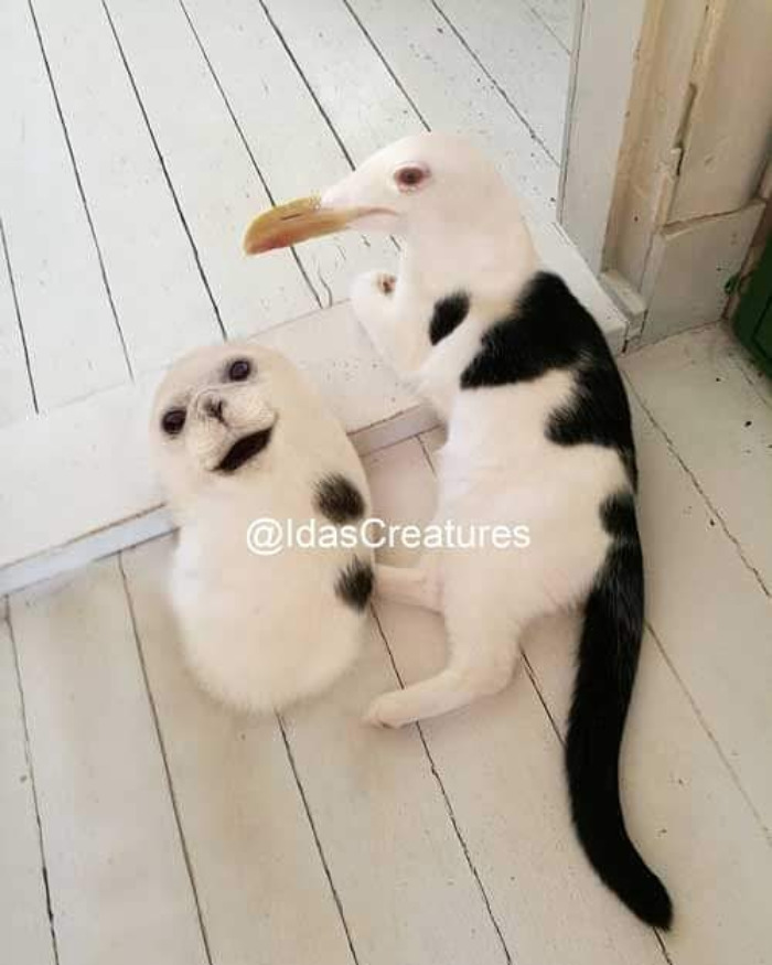 Scary And Funny New Artwork From The Girl Who Turns Pets Into True Fantasy Creatures